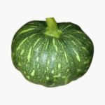 Kaddu / Pumpkin Green  ( कद्दू )
