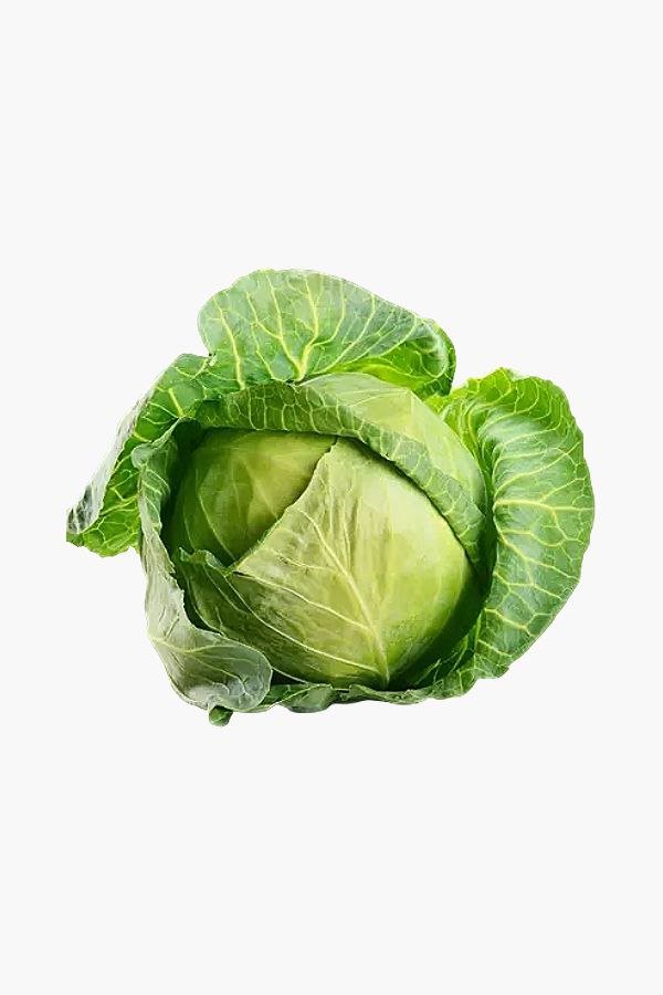 Patta gobhee / Cabbage ( पत्ता गोभी )
