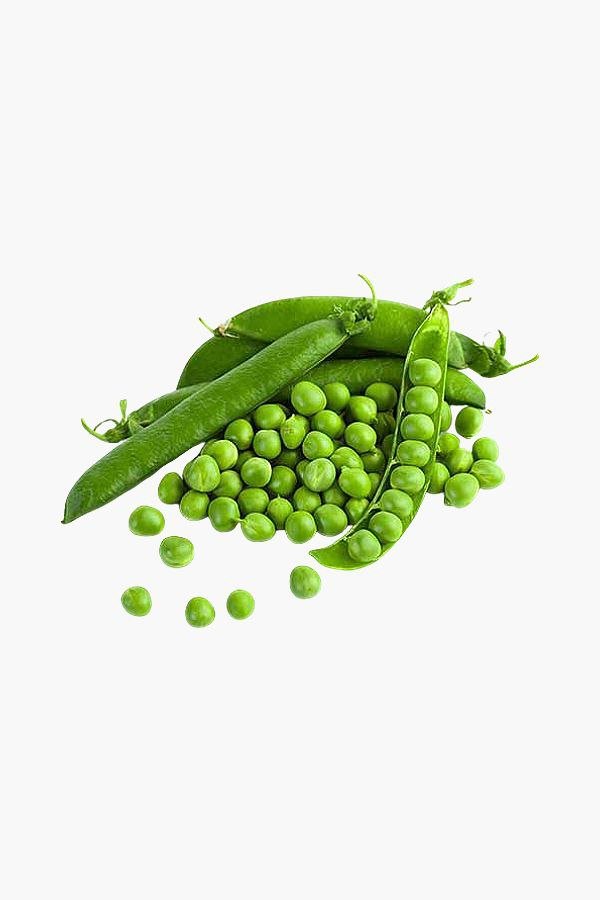 Matar / Green Peas ( मटर )