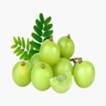 Amla ( आंवला )