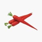 Carrot / Gajar ( गाजर )