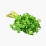 Dhaniya / Coriander ( धनिया )