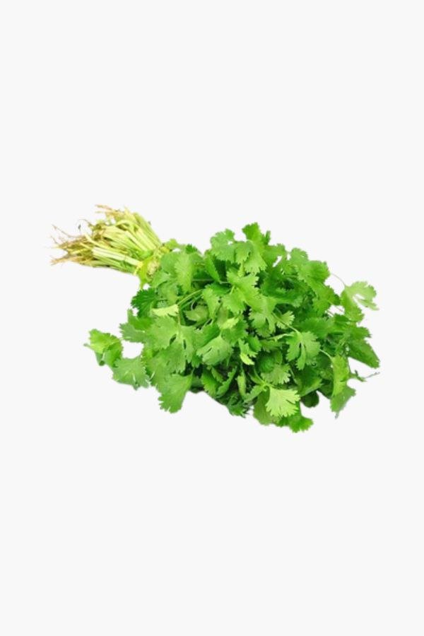 Dhaniya / Coriander ( धनिया )
