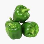 Shimla Mirch / Capsicum ( शिमला मिर्च )