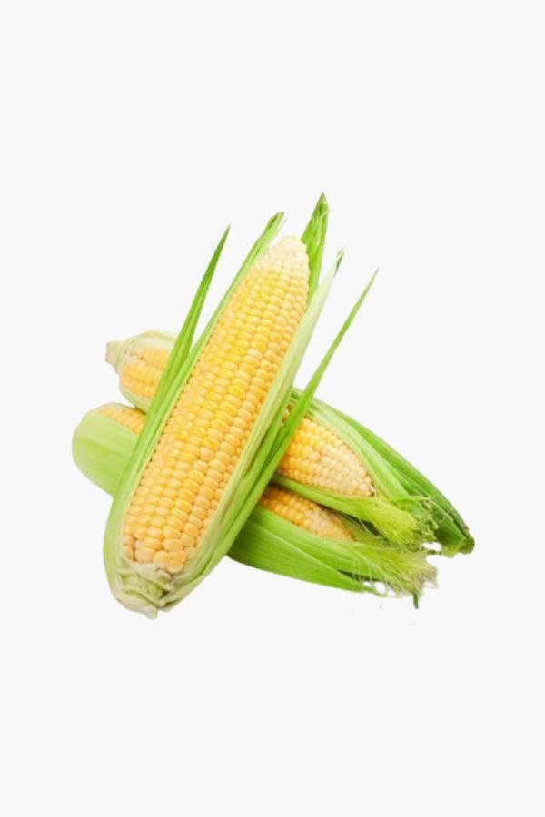 Bhutta / Sweet Corn ( भुट्टा )