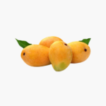 Mango Alphanso