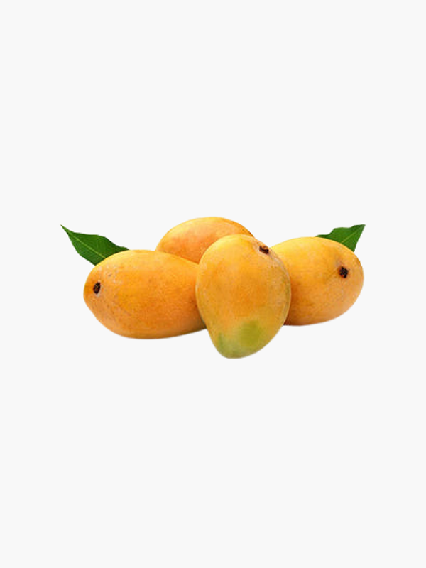 Mango Alphanso