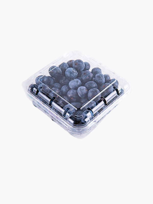 Blueberry