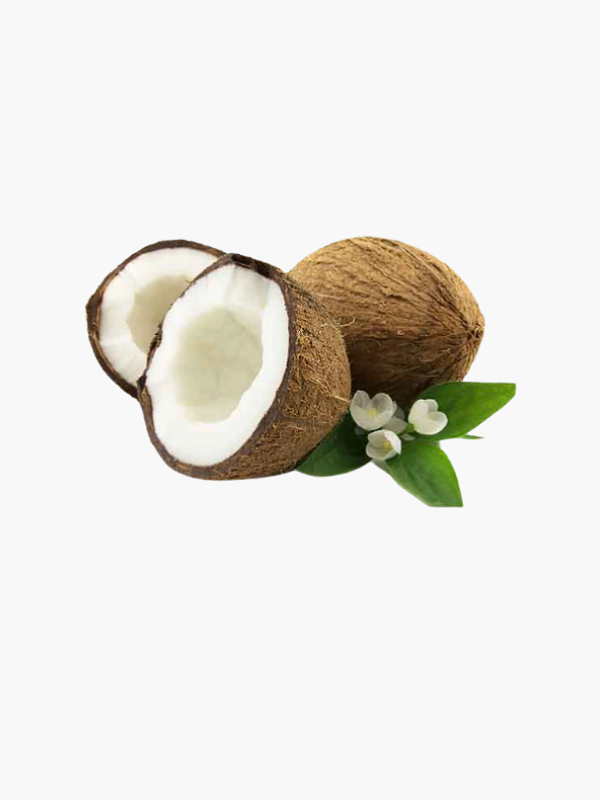 Coconut