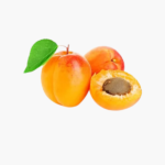 Apricot